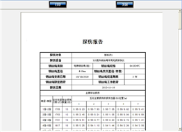电梯黄页视频污茄子视频下载自动探伤系统检测报告