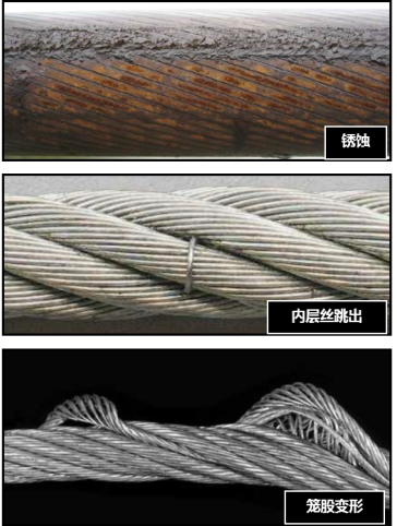 茄子视频app懂你更多官网