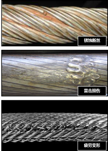 茄子视频app懂你更多官网